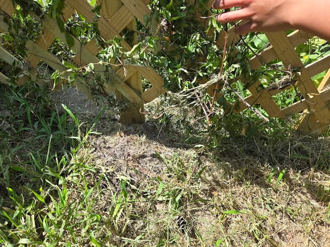 Cousins Lawn Care in Beaumont, TX