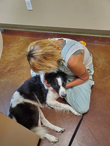 Lone Star Veterinary Clinic