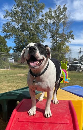 Southern Haven Vet Clinic