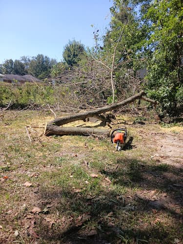 R and S Tree Service and construction