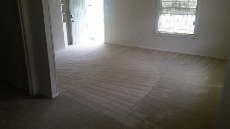 BITY Carpet Services in Port Neches, TX