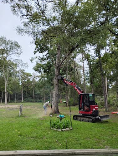 Dandy Bergman Tree and Construction