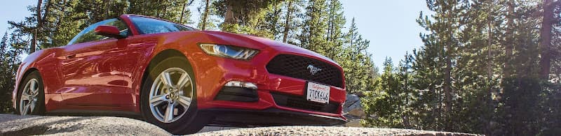 Ford Service Repair Beaumont