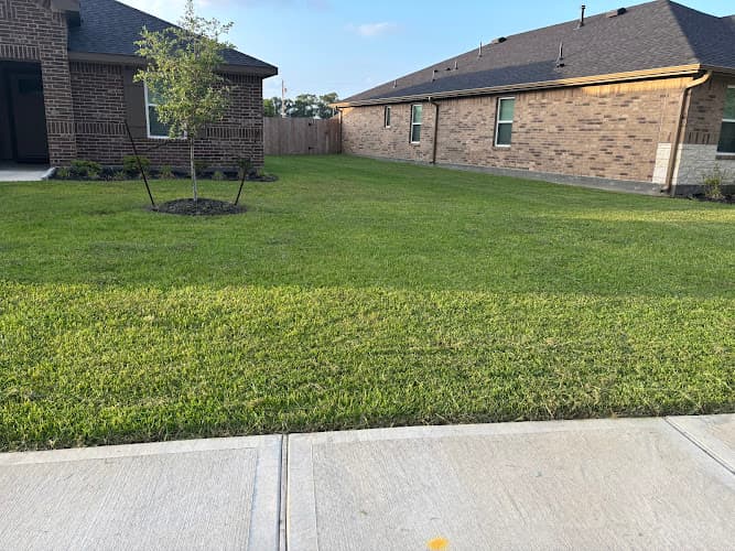 Pura Vida Lawn Care and Landscaping Solutions