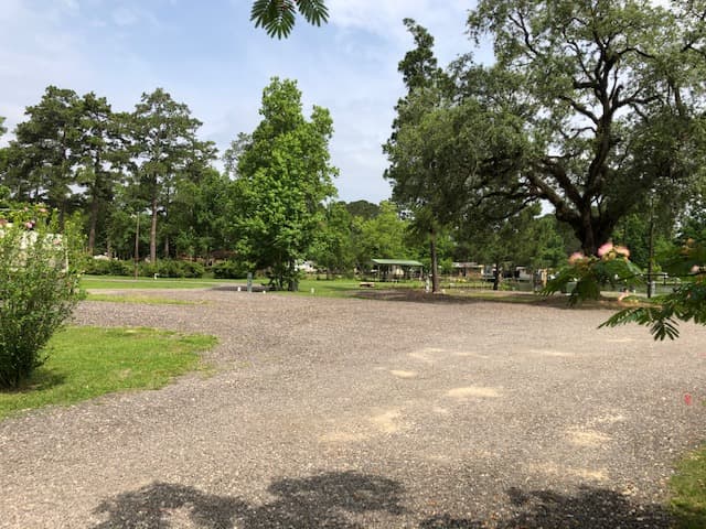 The Pines at Lake Livingston