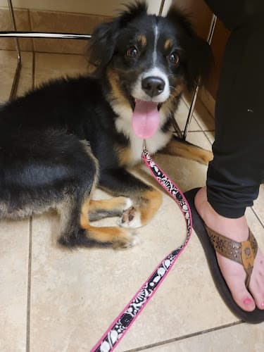 Fannett Veterinary Clinic
