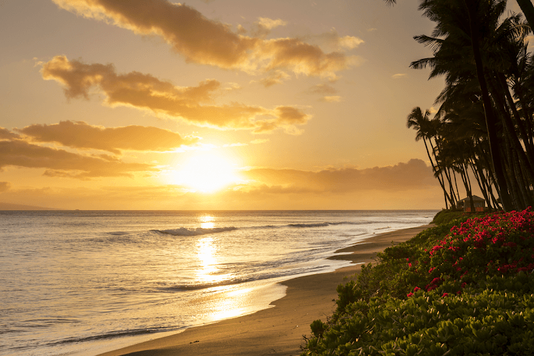 Luxury First Travel