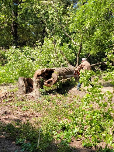 Quality Tree Service
