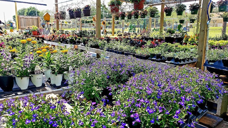 Busy B's Flowers and Pots in Crockett, TX