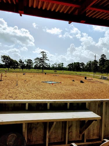 Tyrrell Park Stables