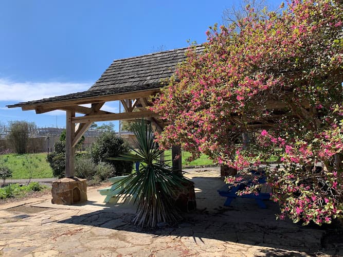 SFA Mast Arboretum