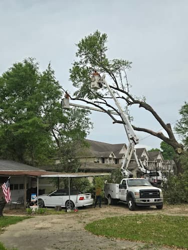 Terrell's Tree Service