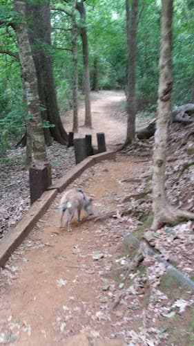 Lanana Creek Trail