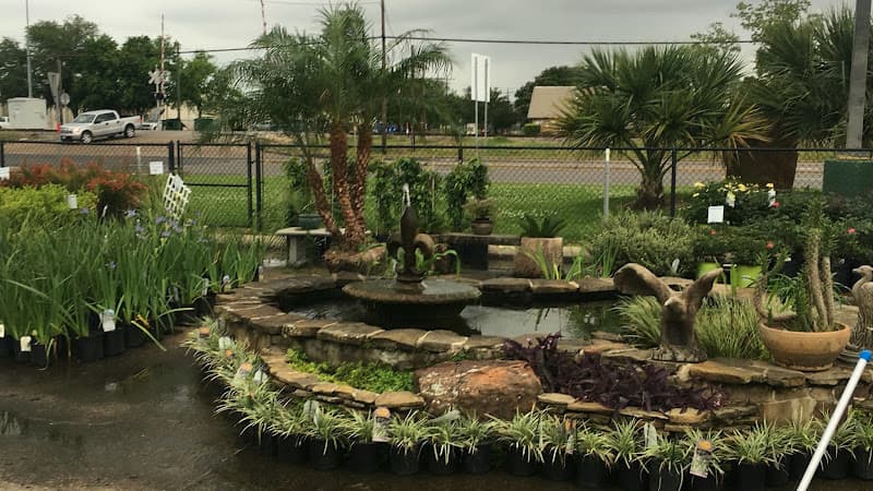 Texas Best Lawn