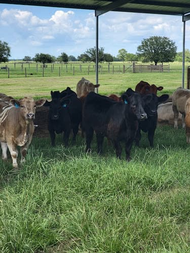 Utopia Ranch