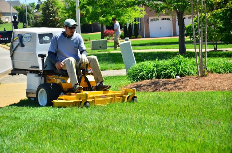 Bumblebee Lawn Service